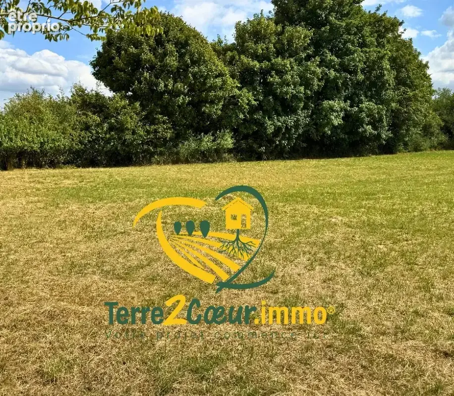 Terrain 1 500 m² à vendre à Nohant-En-Gout (18390) - photo 2