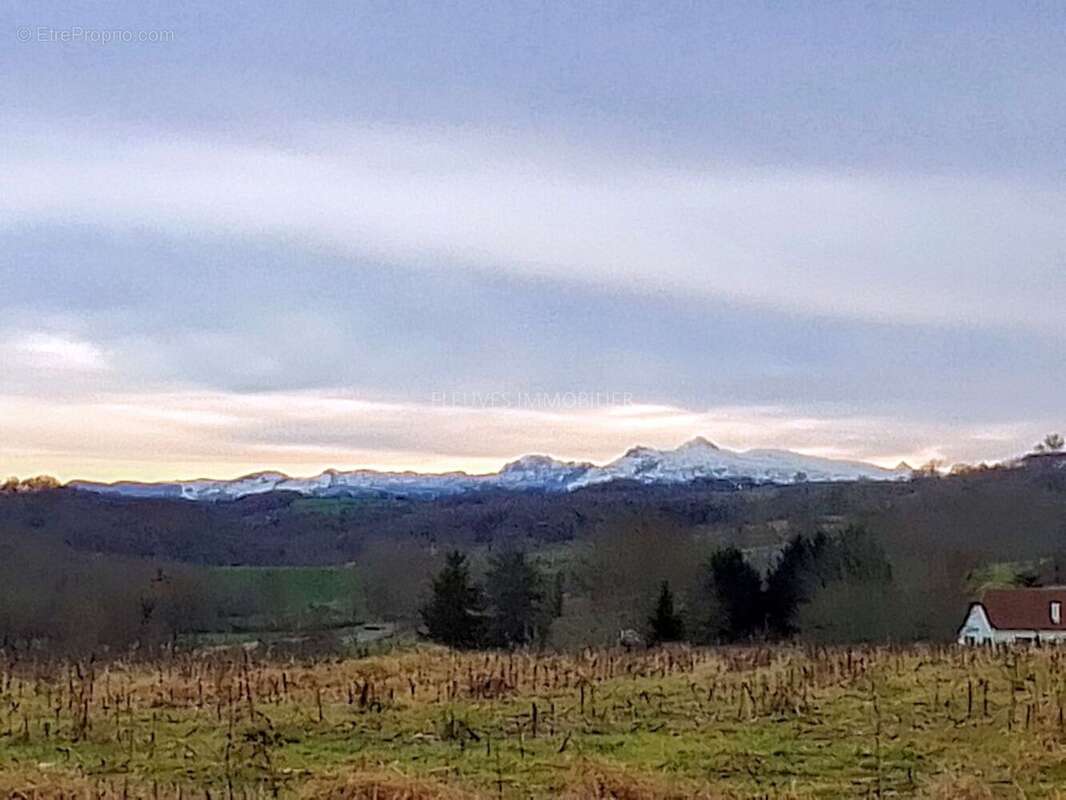 Terrain à NAVARRENX