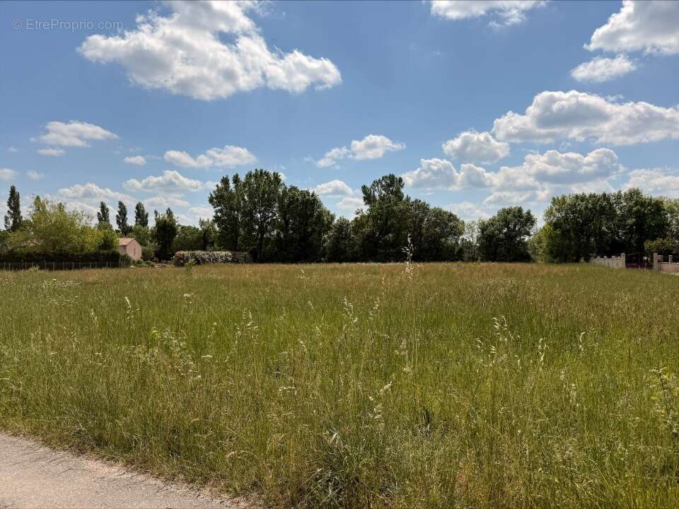Terrain 600 m² à Revel  - photo 3
