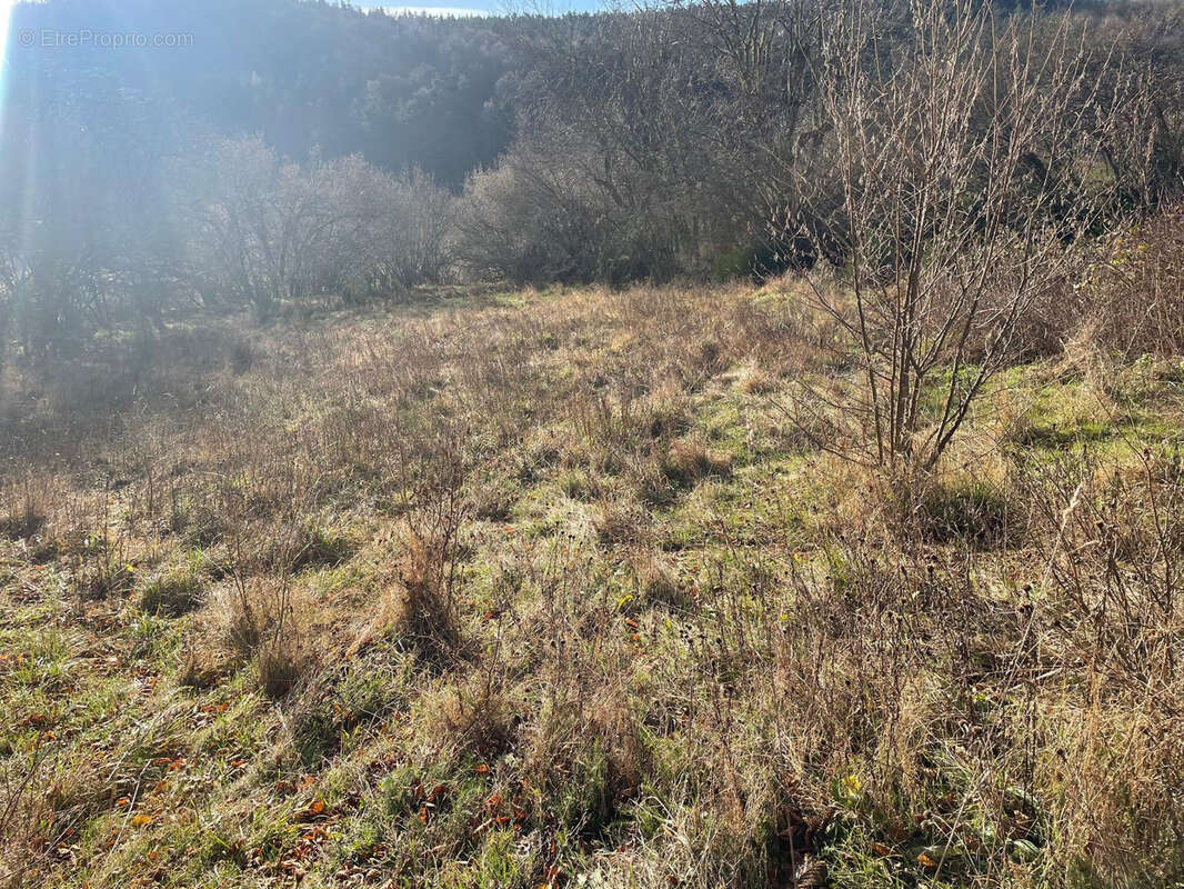 Terrain à GRANDRIEU