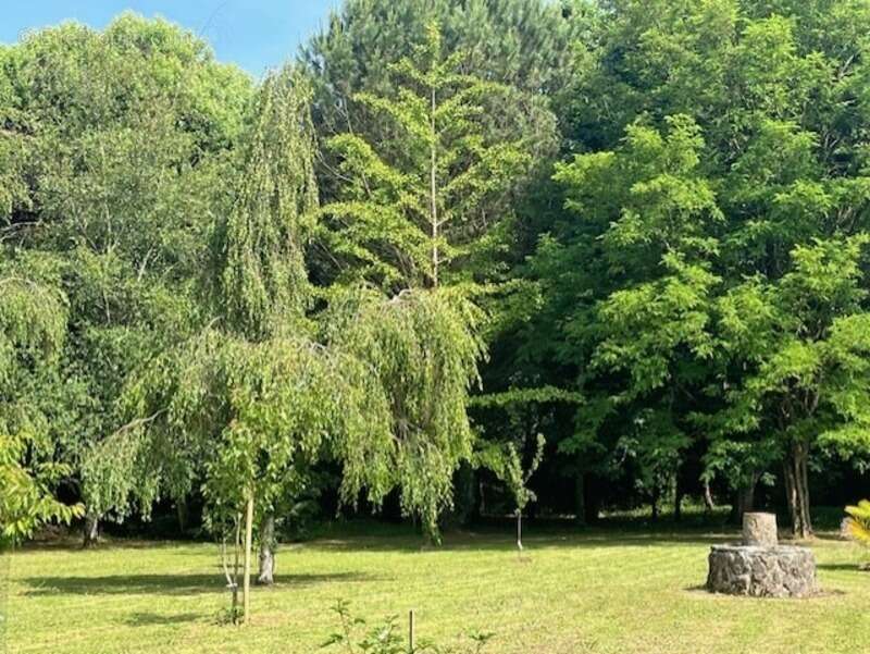 PLAISANCE (32): SANS TRAVAUX, MAISON XVIIIs restaurée avec élégance SUR 240M2 habitables, 6600m2 de jardin,géothermie,  puits, g - photo 51