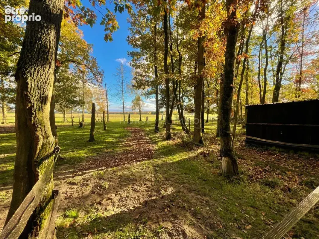 Propriété et Installations équestres sur 9,5 hectares dans le - photo 10