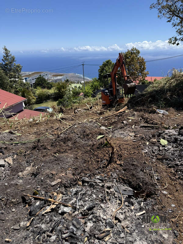 Terrain à SAINT-LEU