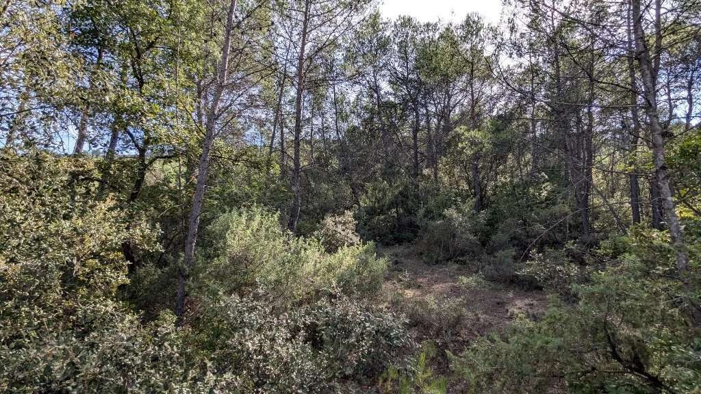 CARCES - Terrain non constructible 9.696m² boisé - photo 6