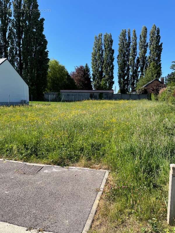 Terrain 751 m² à Bertry  - photo 6