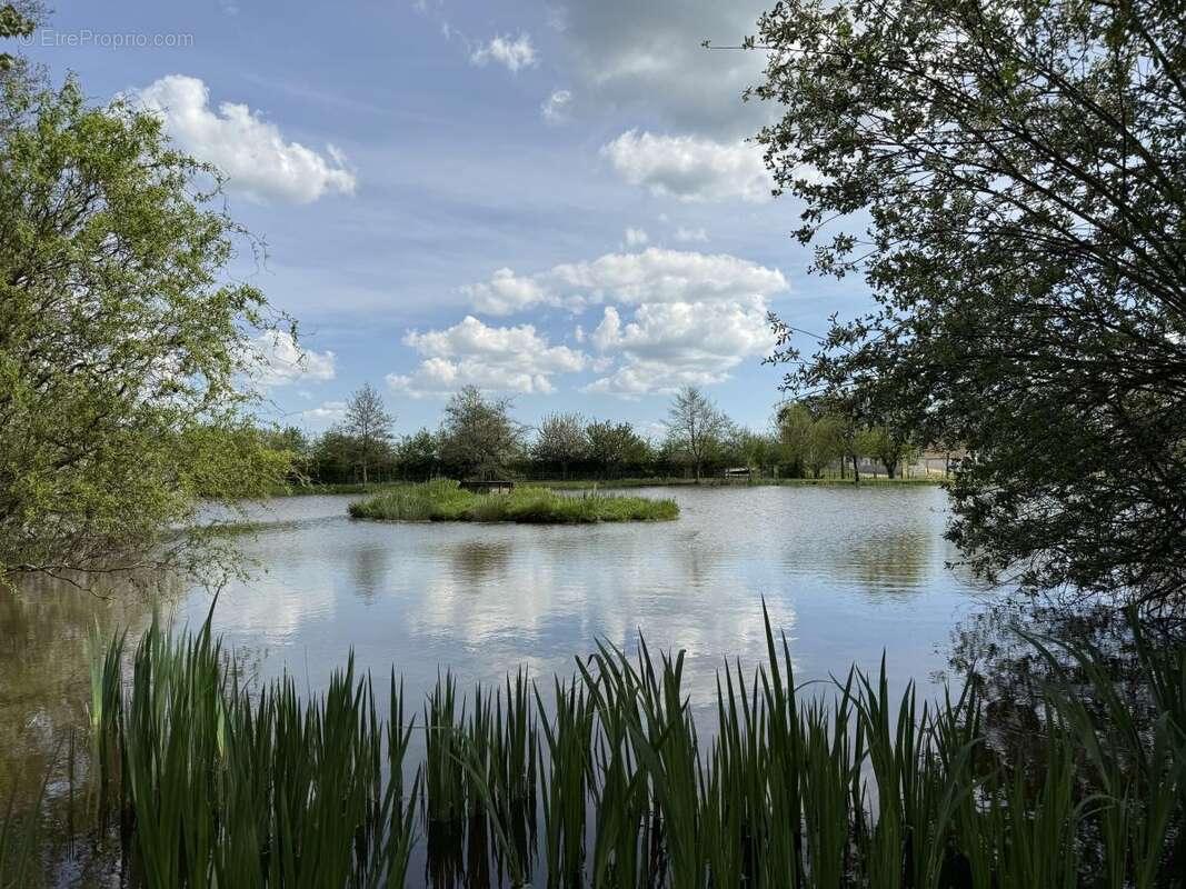 Terrain à BEAUPREAU
