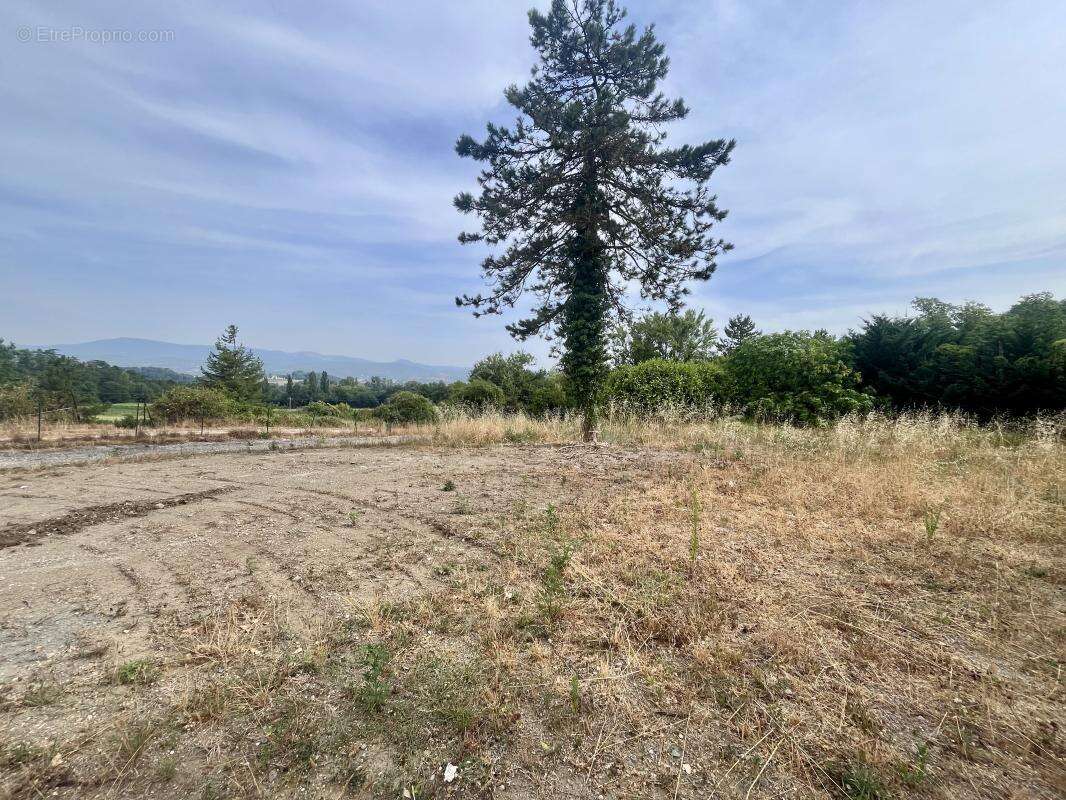 Terrain à bâtir 1120 m² – Viabilisé - Hors lotissement – Saint-Lager-De-Bressac – 128 900 € - photo 2