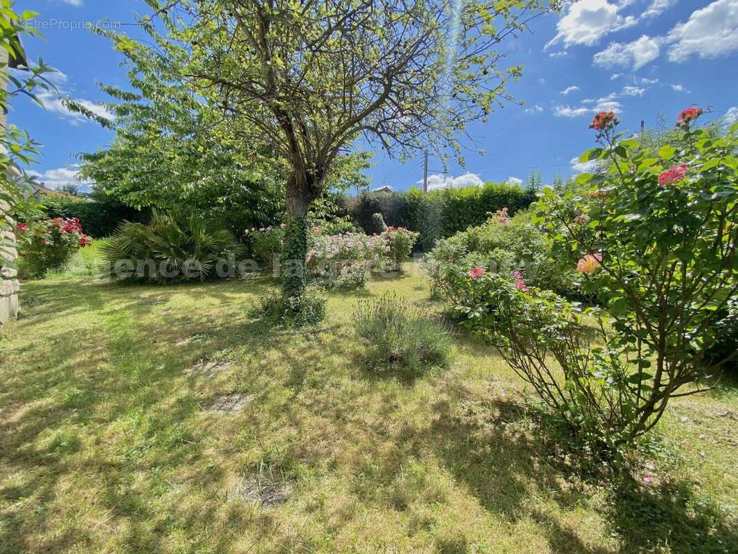 IMG_6178 - Maison à BRUNOY