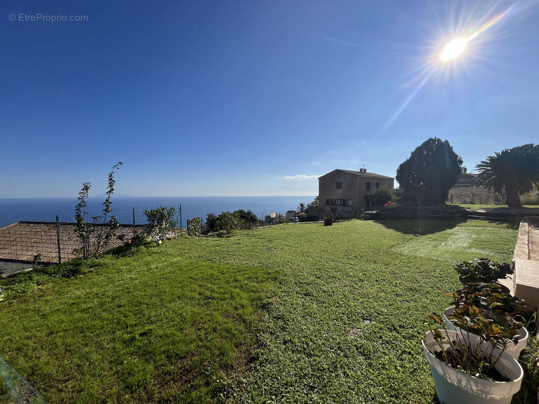 Maison à SAN-MARTINO-DI-LOTA