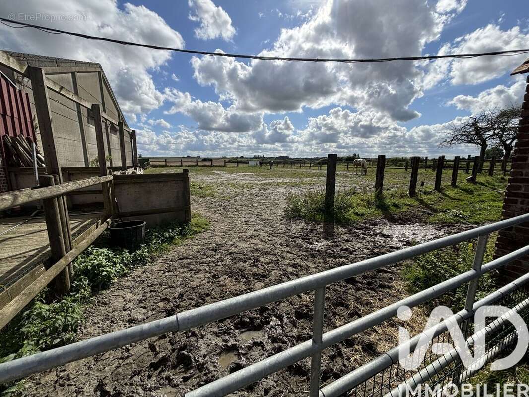 Photo 5 - Maison à ERINGHEM