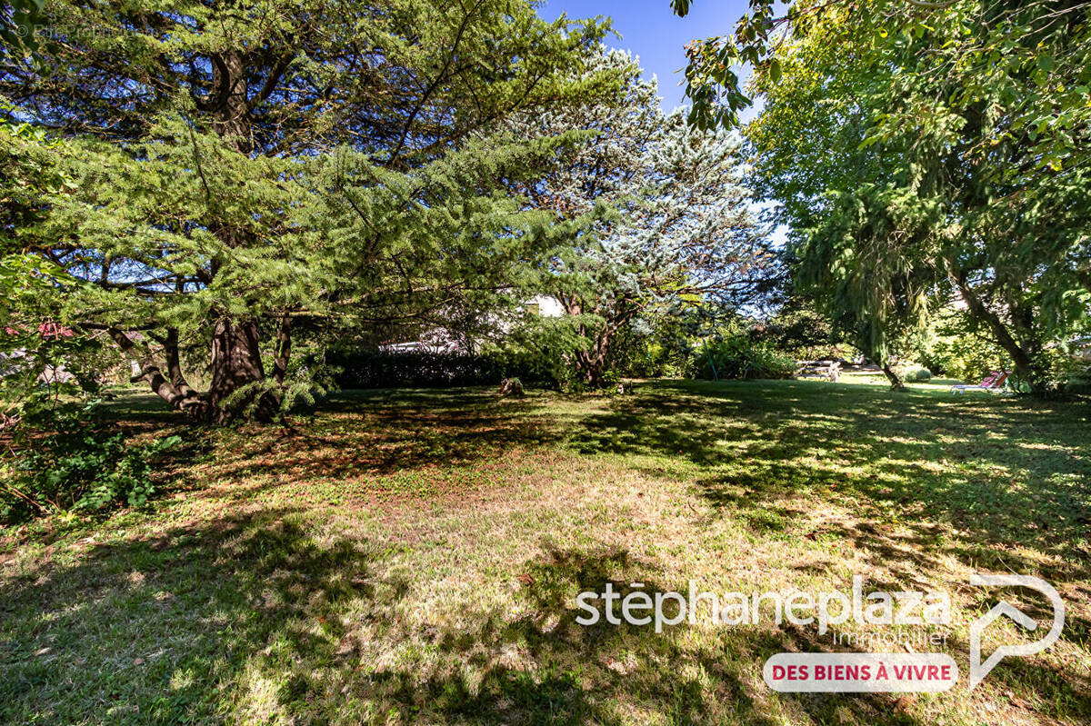 Terrain à SAINT-MAURICE-DE-GOURDANS