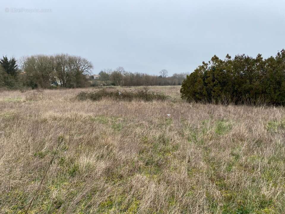 Terrain 404 m² à Pont-L'abbe-D'arnoult  - photo 2