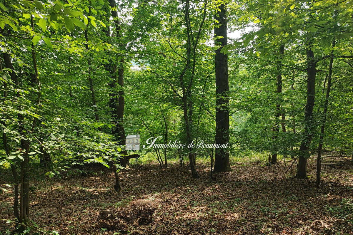 Terrain à BEAUMONT-LE-ROGER