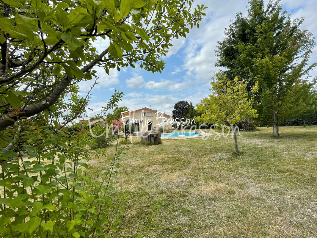 Maison à GAILLAC