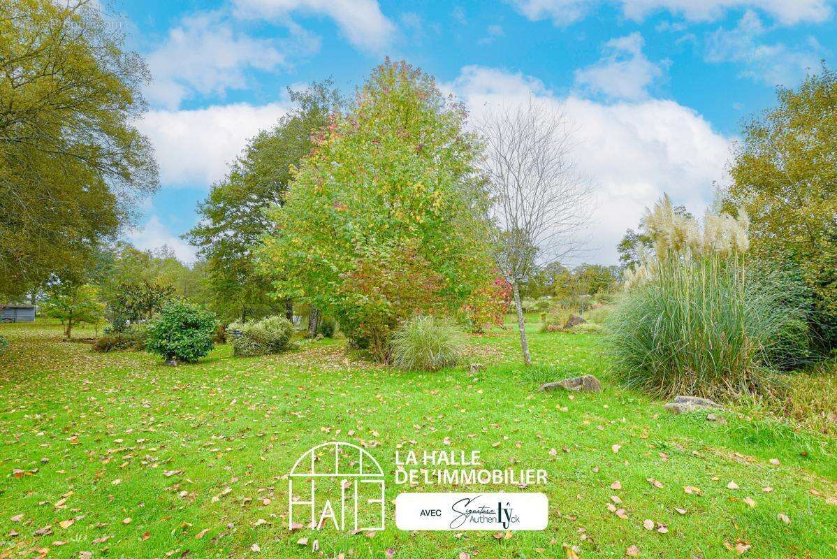 Terrain à SAINT-AUVENT