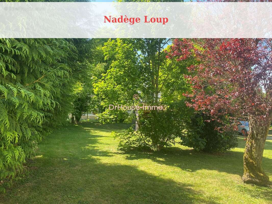 Maison à AILLANT-SUR-THOLON