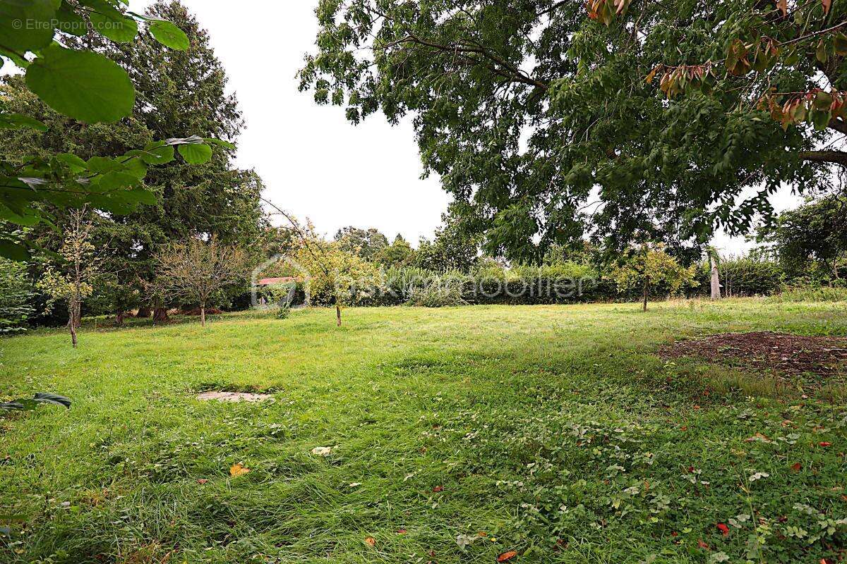 Abancourt - grand terrain à bâtir  2258 m² - plat et arboré - photo 4