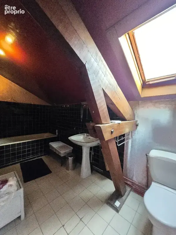 Maison familiale de caractère à Chaponost, 244 m2 habitables (304 m2 au sol total) sur terrain clos et arboré - photo 16