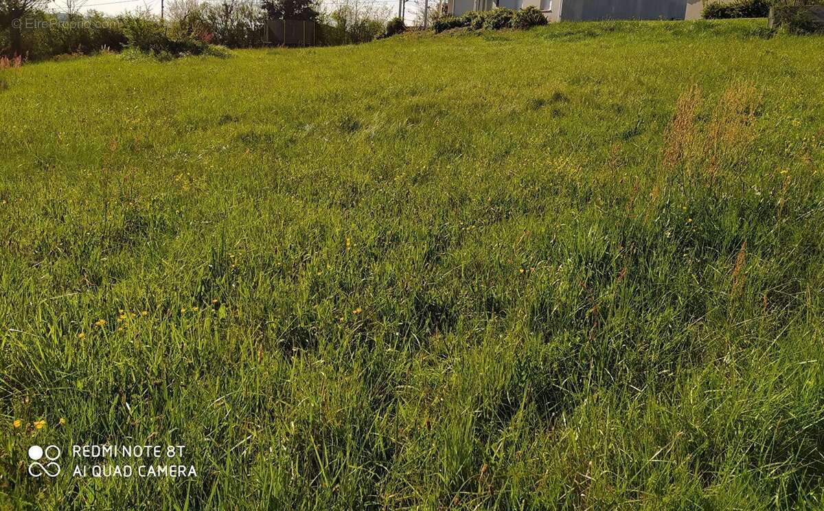 Terrain à LEZAT-SUR-LEZE