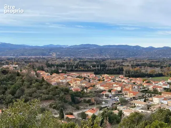 Terrain à CORBERE-LES-CABANES