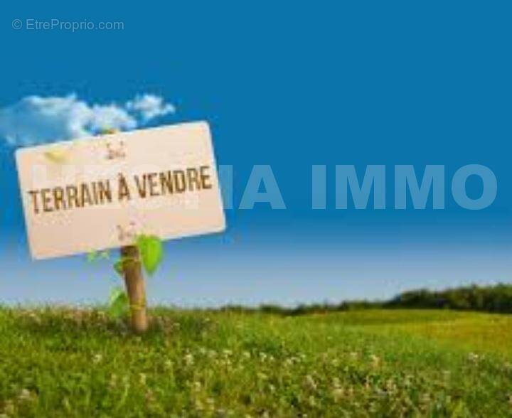 Screenshot_20250428-110842_Google - Terrain à SAINT-MARS-LA-JAILLE