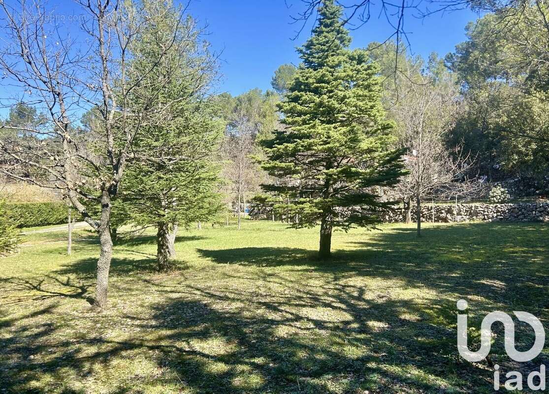 Photo 6 - Maison à BRAS