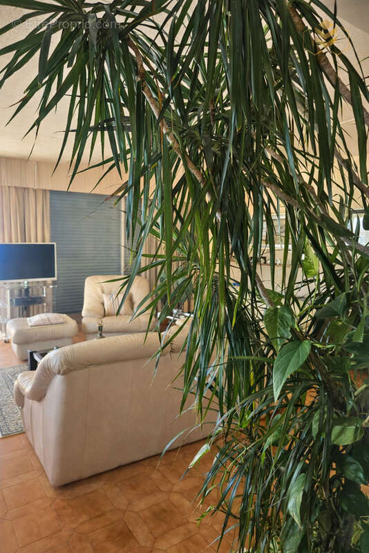 Appartement à ROQUEBRUNE-CAP-MARTIN