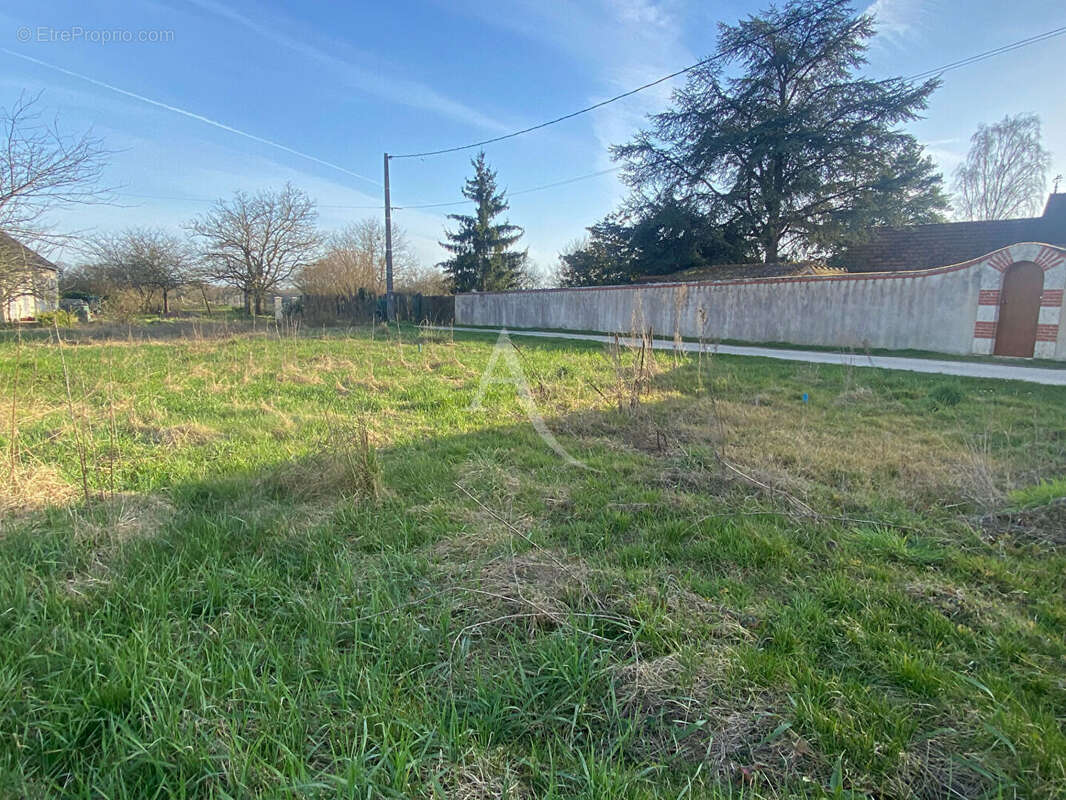 Terrain à MONT-PRES-CHAMBORD