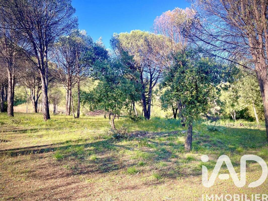 Photo 3 - Terrain à GRIMAUD