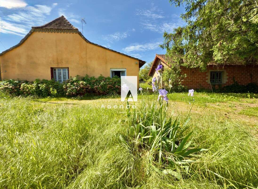 Saône-et-Loire  Domaine idéal pour activité d'hébergement - Proximité circuit de Bresse - photo 2