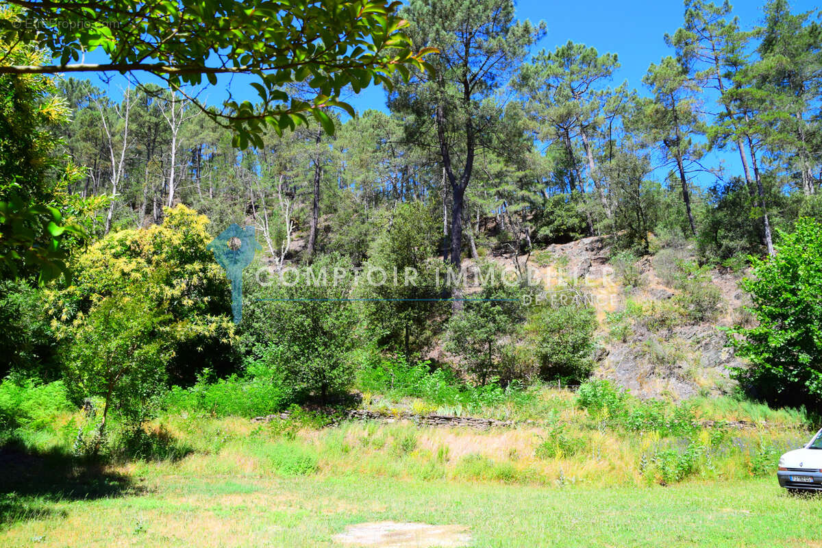 Dépt. 30 -   Mas en pierres de 220 m2 à CHAMBORIGAUD - Parcelles de 1,10 ha - photo 19