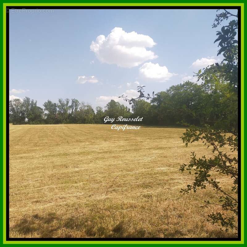 Terrain bâtissable à vendre   de 3000 m2 SEMUR EN AUXOIS (21) - photo 3