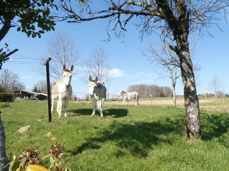 Maison à PLOMBIERES-LES-BAINS
