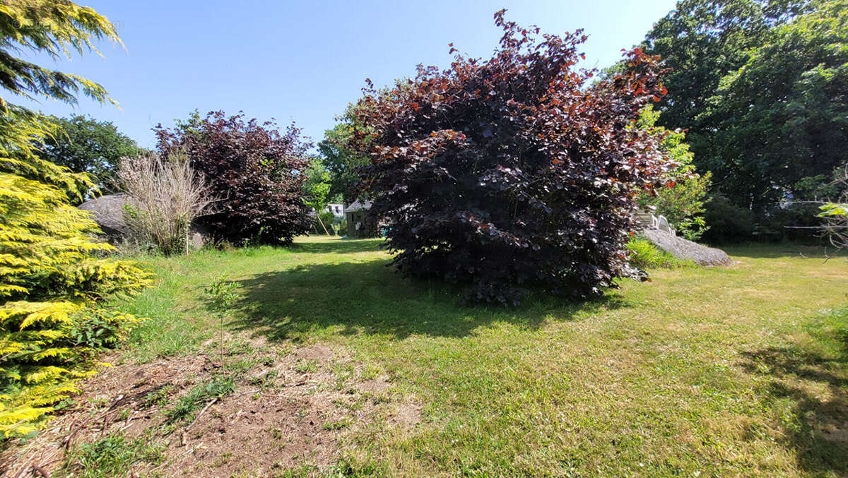 EXCLUSIVITÉ AGENCE DU QUAI - Terrain Trégunc - Centre Ville -  990 m2 - photo 3