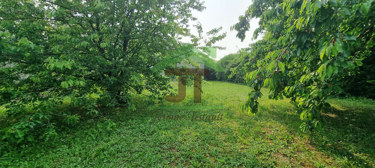Maison à PATAY