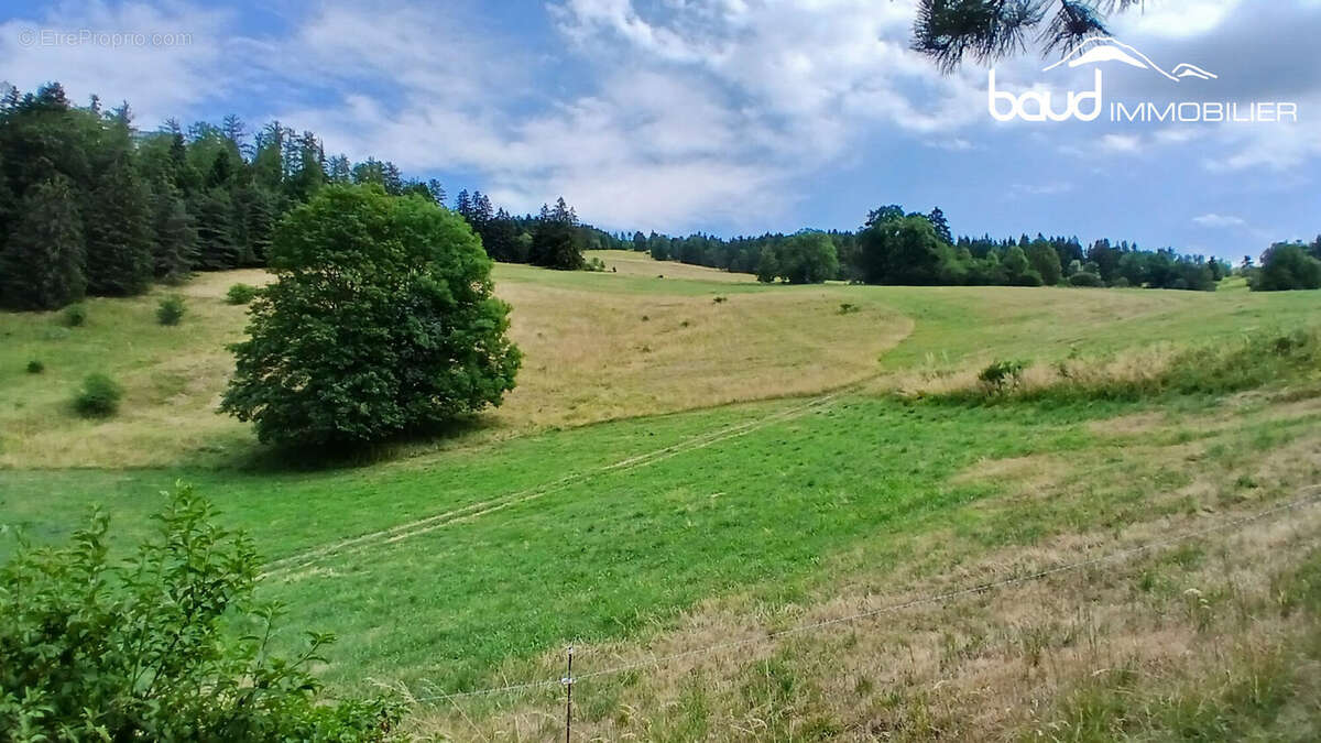 Maison 227 m² à Villard-De-Lans  - photo 6