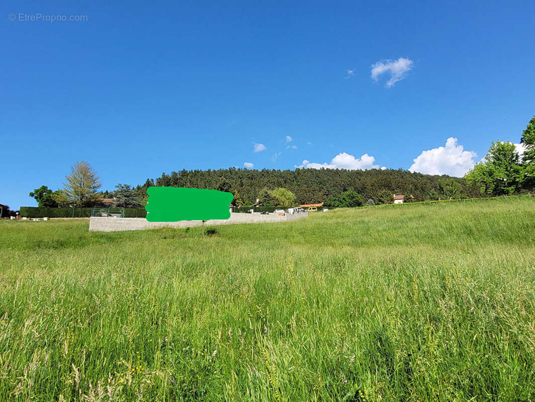 Opportunité à saisir: Terrain à bâtir Arsac En Velay 3007 m2 - photo 4