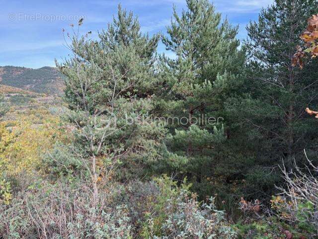 Terrain 10850 m2 Rabouillet - photo 2
