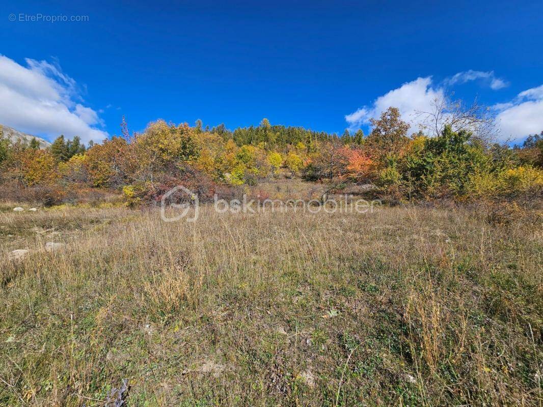 Terrain à ALLOS