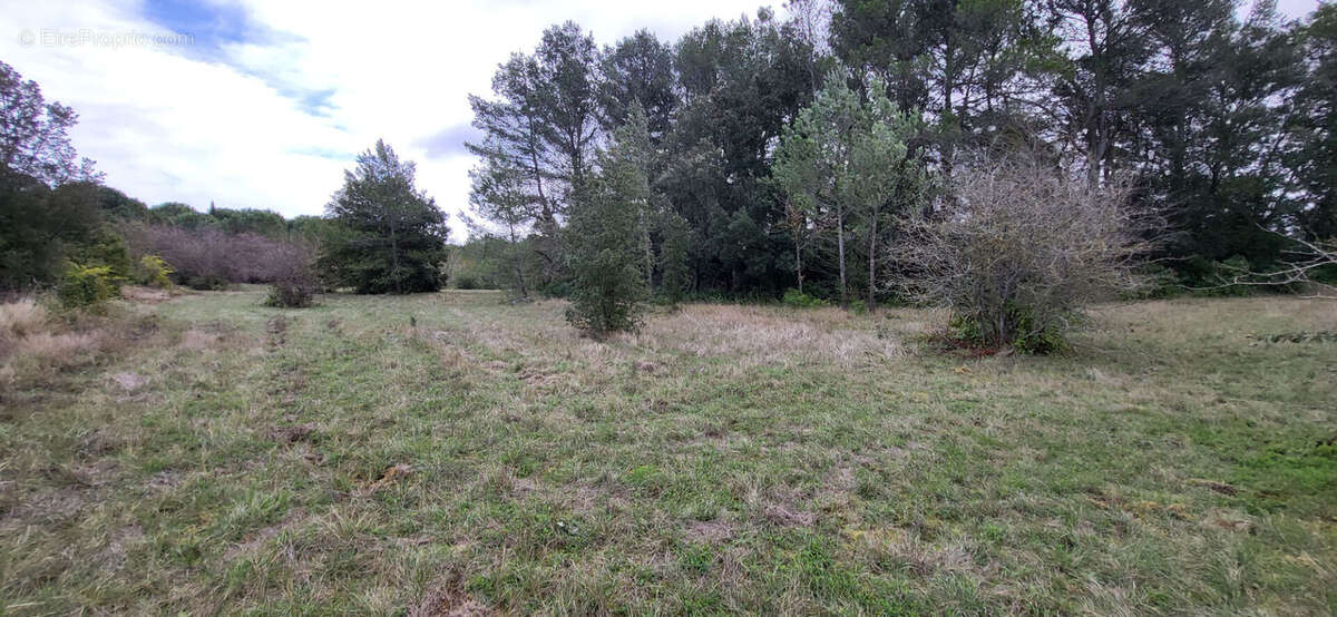 Terrain à CARCASSONNE