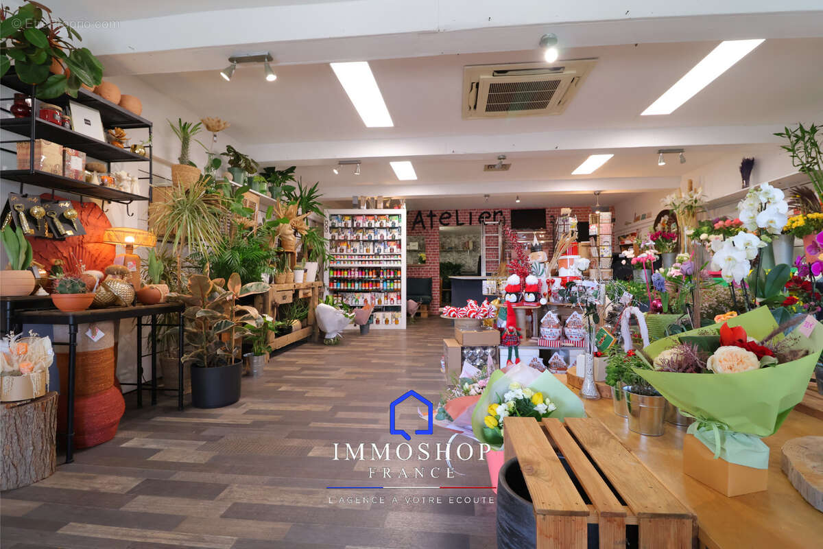 Commerce à PLAN-DE-CUQUES