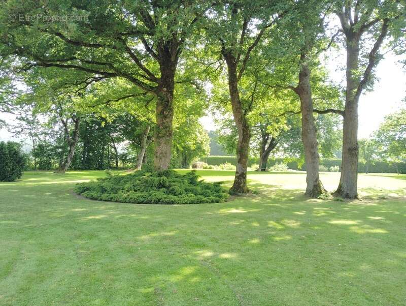 Maison à MAURE-DE-BRETAGNE