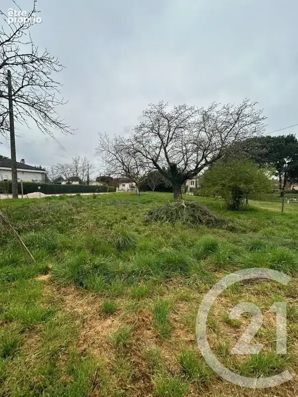 Terrain 600 m² à vendre à Buzet-Sur-Baise (47160) - photo 2