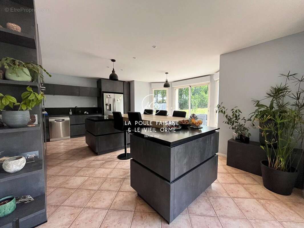 Vente ideale cavaliers - foret domaniale de rambouillet - photo 9