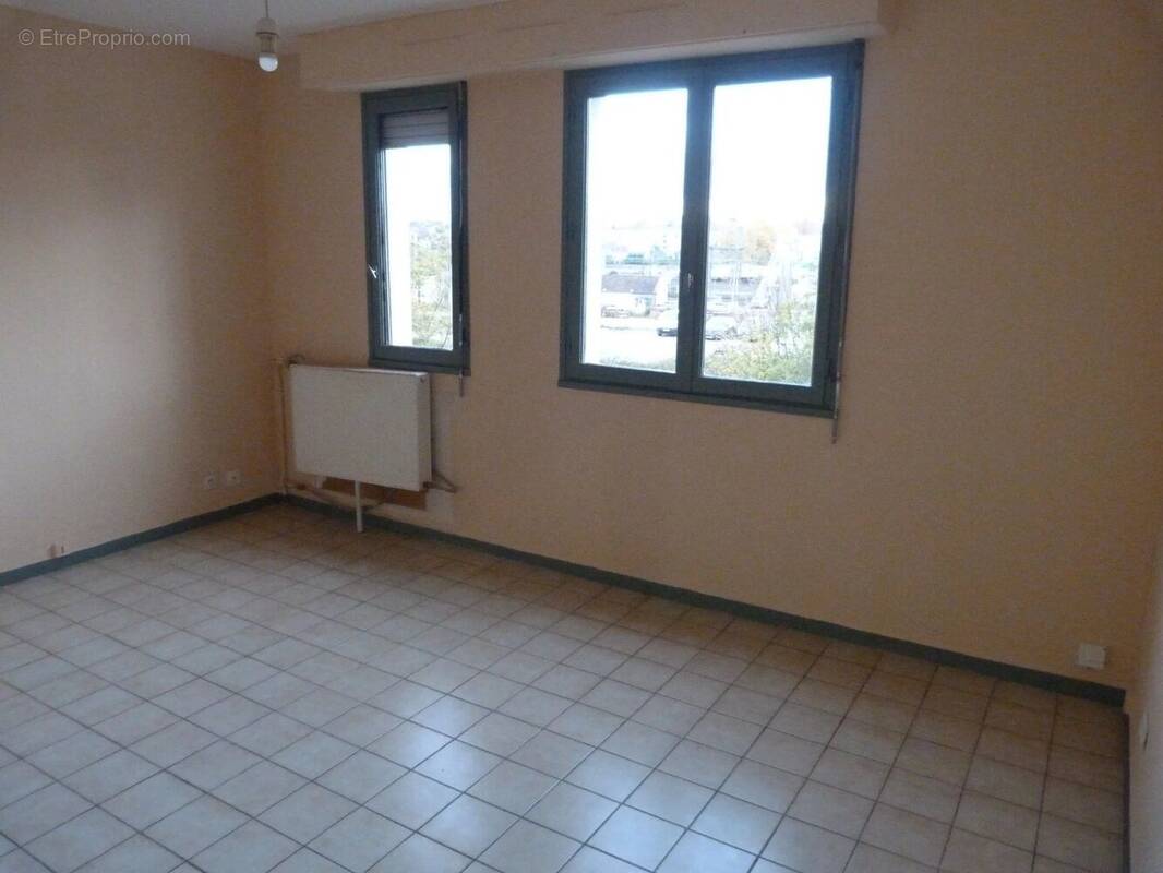 Appartement à VIERZON
