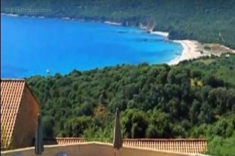 Beau T2 en Corse du sud (20) - photo 10