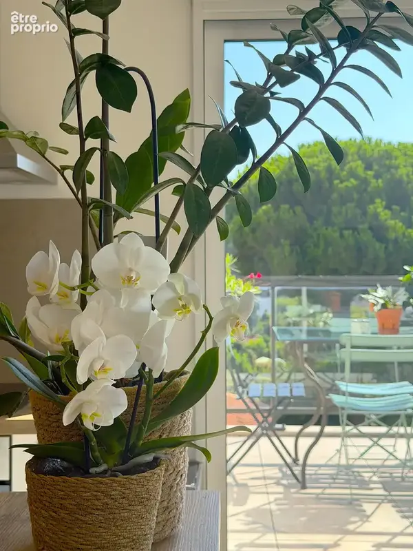 Appartement 72 m² à Saint-Laurent-Du-Var  - photo 7