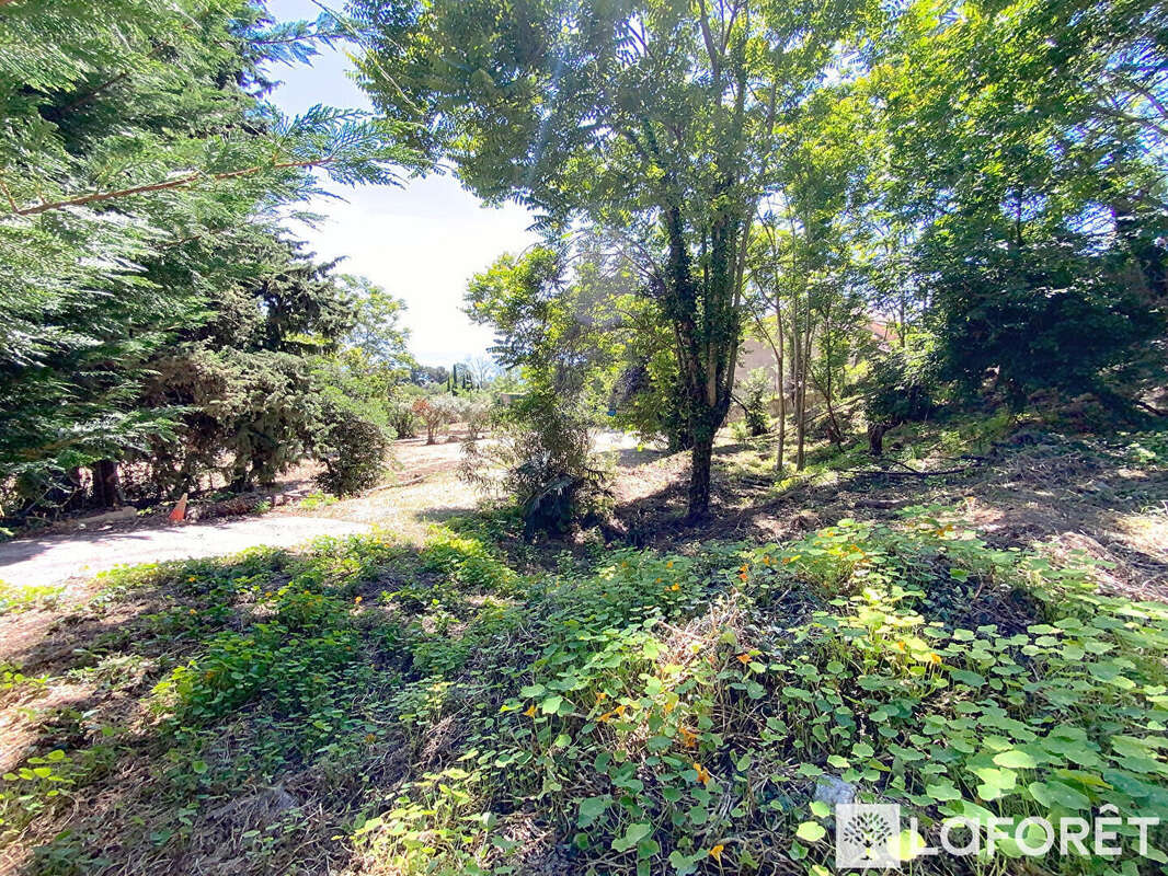 Terrain à ROQUEBRUNE-CAP-MARTIN