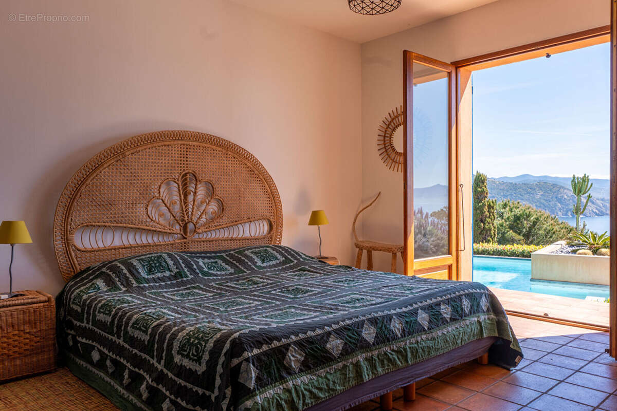 Casa Latina - photo 13