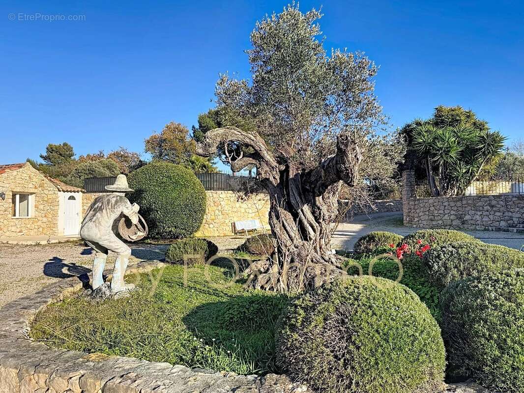 Maison à ANTIBES